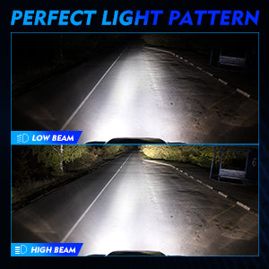 2013-2018 Ford Focus Cutom-Fit LED Bulbs H11 H1 Halogen Replacement 4 Bulbs - NOVSIGHT