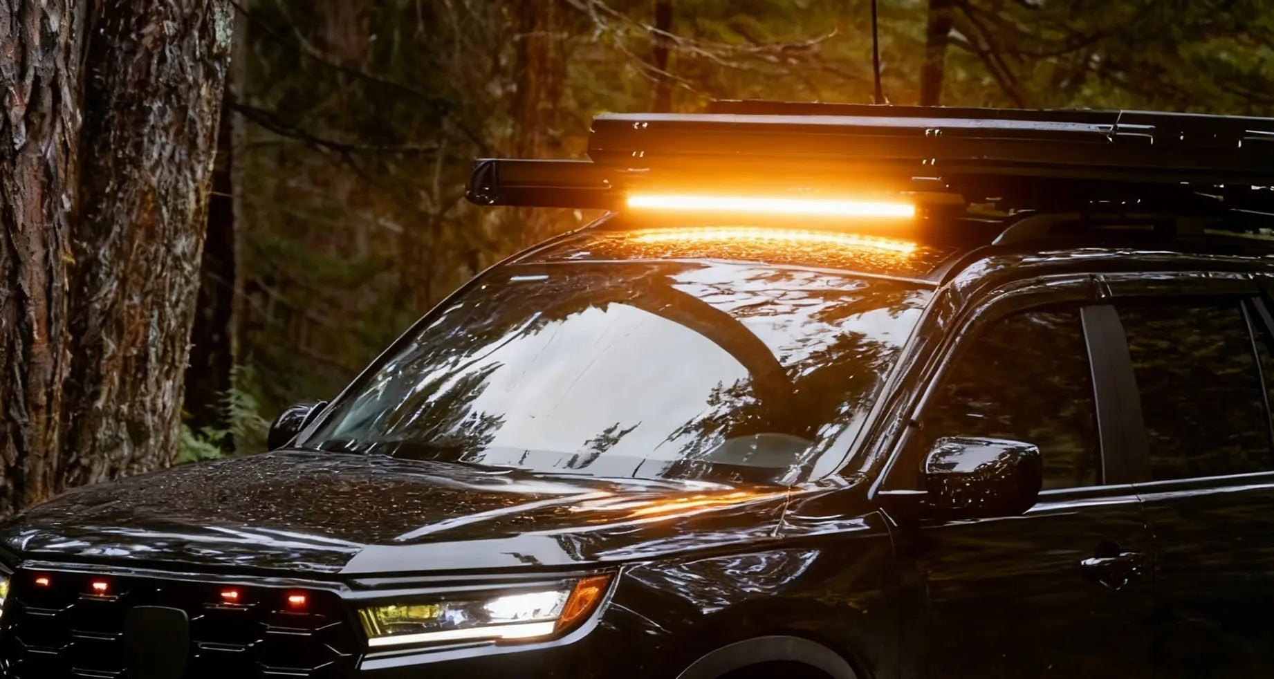 Black SUV with novsight roof light bars on in a forest setting